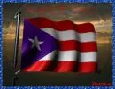 MI BANDERA