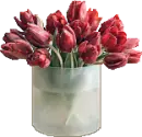 red roses