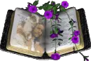 BIBLE