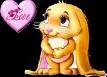 rabbid