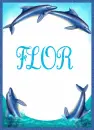 Flor Dolphins