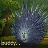 buddy
