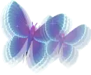 Flashy purple butterflies