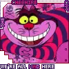 all mad here