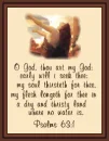 SEEK HIM