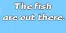 going Fishing