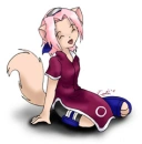 Sakura Kitty