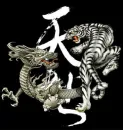 Dragon and Tiger