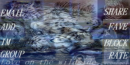 Walk on the Wildside Contact Table/White Tiger