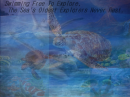 Come Swim With Me/Turtle