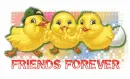 Friends forever ..little chicks