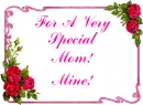 Special Mom