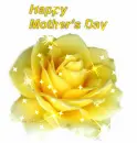 Mothers Day Rose