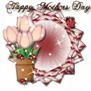 Mothers Day Flowers 3
