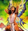 Fairy Fantasy