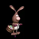 rabbit<3