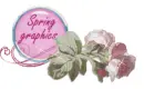Spring graphics button