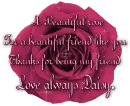 A Beautiful rose...