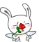 bunny
