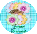 SWEET DREAMS