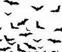 Bat