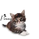Penny