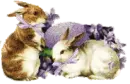 Cute Easter Bunnies