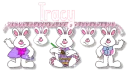 tracy charm