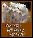 dont worry my bros i got a plan