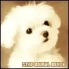 STOP ANIMAL ABUSE