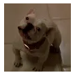 so cute