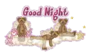 Good Night