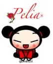 pucca-Pelia