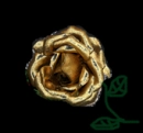 golden rose