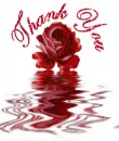 Thank You Rose