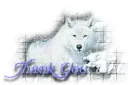 Thank You Wolf