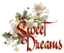 Sweet Dreams n Flowers