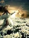 Dream Fairy