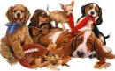 puppys