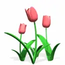 spring flowers