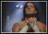 cm punk