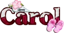 Sea shell & Pink Slipper: Carol