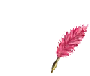 Orsi Pink Feather