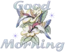 Hummingbird Morning