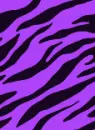 4 colored pattern