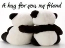 pandas