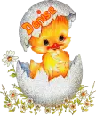 chick in egg-Denise