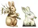 BUNNY'S