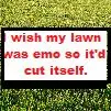 Emo Lawn