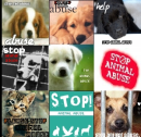 STOP ANIMAL ABUSE